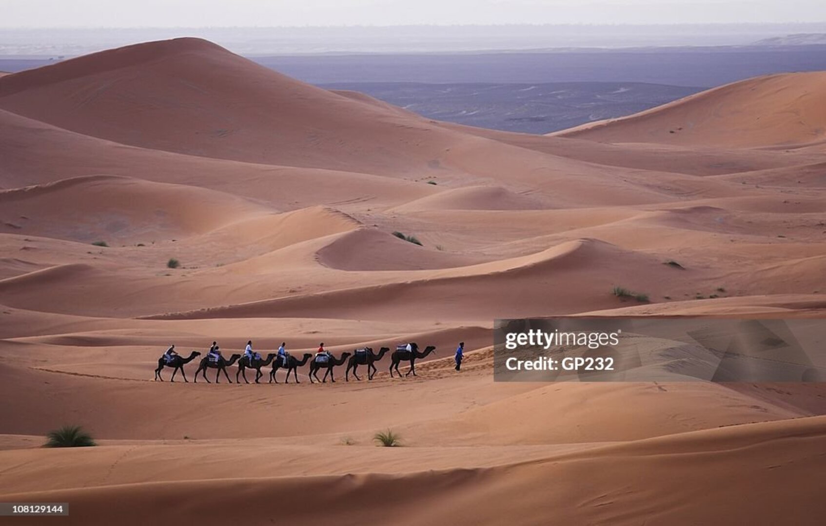 Camel Trekking & Sunset Over the Dunes — day 2