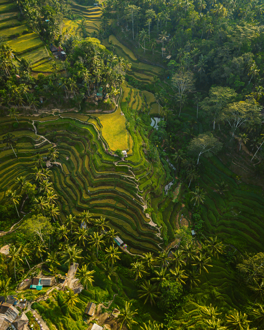 Bali the island of princesse — hero