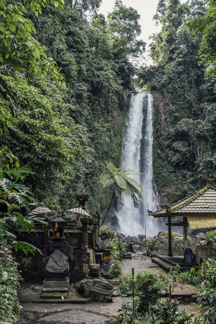 Bali the island of princesse — gallery 2